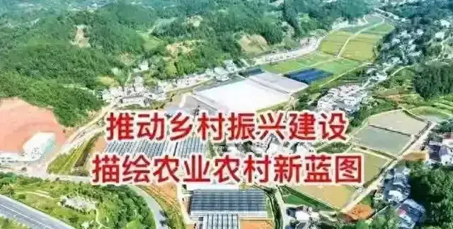 国企下乡会不会引发农村改革？对农民是好事还是坏事？