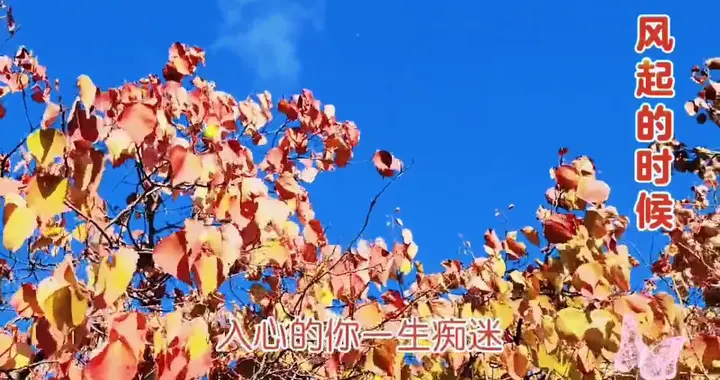 风起的时候:好听歌曲推介。