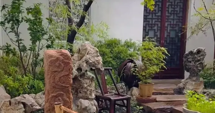 有院子的人，都向往一颗自由的心