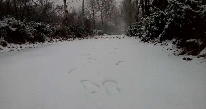 中年方悟此诗：日暮苍山远，天寒白屋贫，柴门闻犬吠，风雪夜归人
