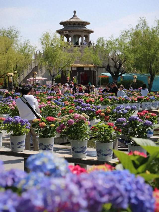 清明遇宋韵，开封再登全国文旅榜单！