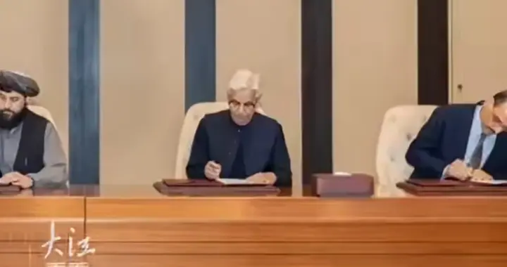 北约土耳其硬闯巴沙联盟！中东安全格局要变天，特朗普又盯上了？