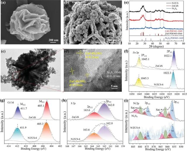 南华大学Advanced Materials，破解“白色污染”！