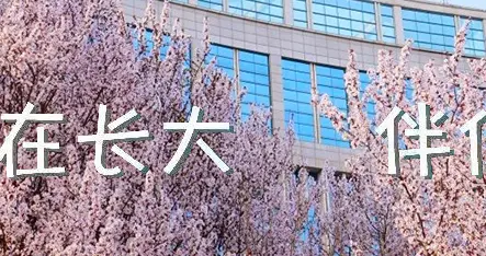 突破！国奖6项