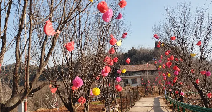 到后山去，暖阳下围炉煮茶，享受世外桃源美景。