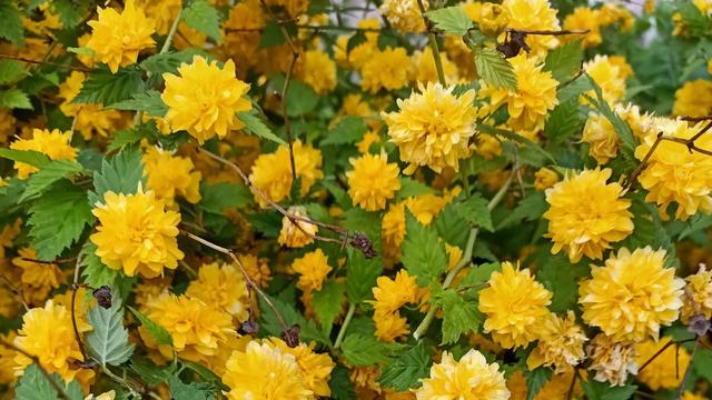 优美漂流瓶阳阳：！到