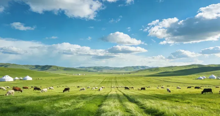 冰窟惊魂10分钟！