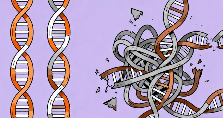每晚睡眠不足6小时，会让700个基因发生改变