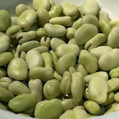 龙儿美食：保存蚕豆，切记不要焯水和直接放