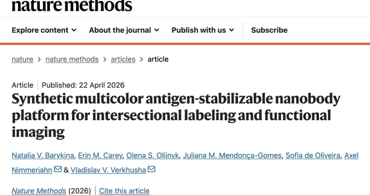 Nature Methods | 荧光成像新纪元：抗原稳定型多色纳米抗...