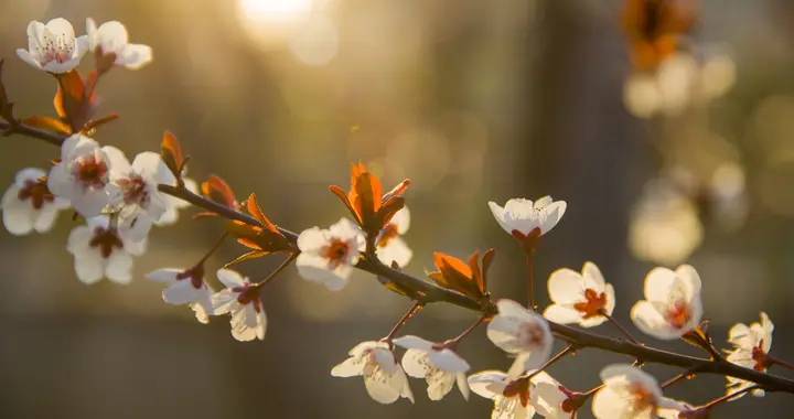 所有的用人难题，归根结底就是这3点