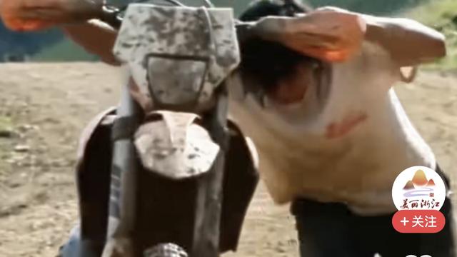 民间事我来说：这三位普通人，获人民日报点