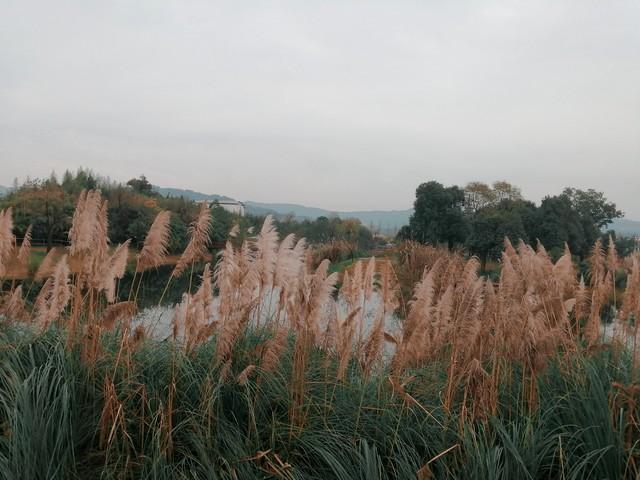 南方部分地区“断崖式”降温10℃！长江中下游降温至20℃