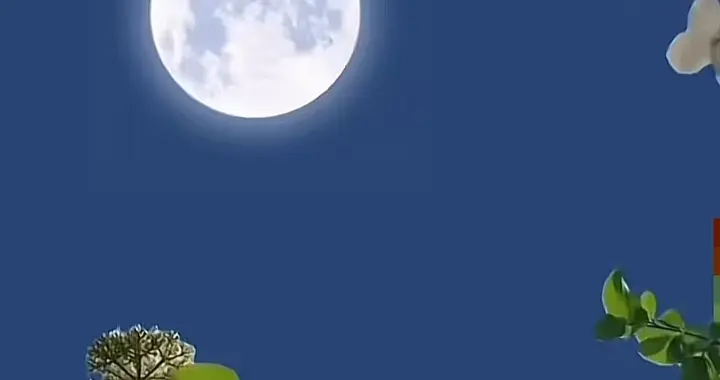 9月初一晴 三九寒不寒？庄稼人靠它看明年收成的实在理儿