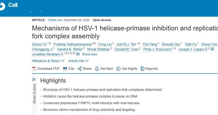 Cell | 纳米世界的攻防战：研究揭示疱疹病毒复制机器被“锁死”的瞬间