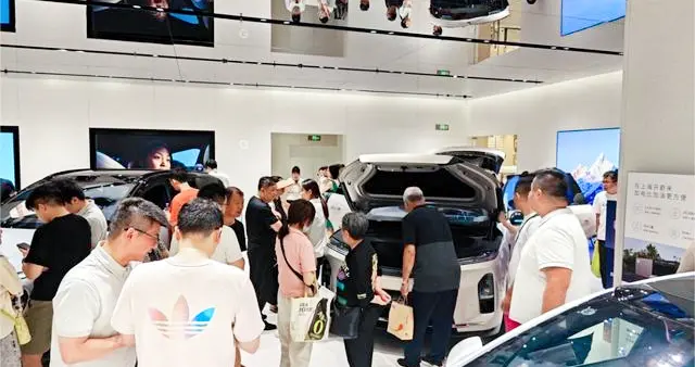 25 万选纯电 SUV 怕坑？乐道L60 ：740km 续航 + 3 ...