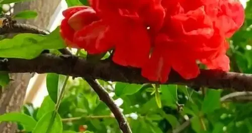 全球贸易总额与人民币国际化