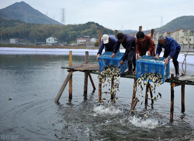 水产养殖常用消毒剂用法用量使用场景详解！