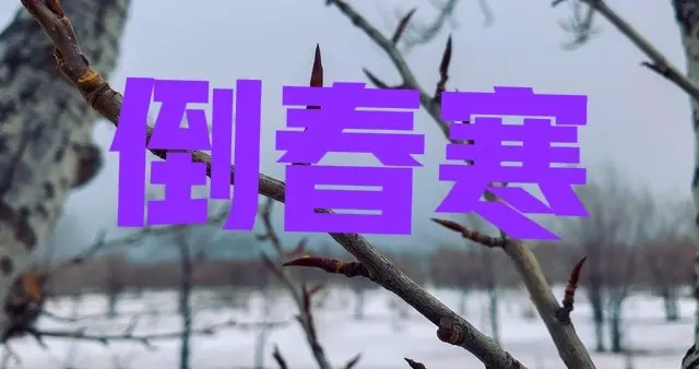 老人说“倒春寒来不来，就看二月初二”，今日二月初二有啥预兆？