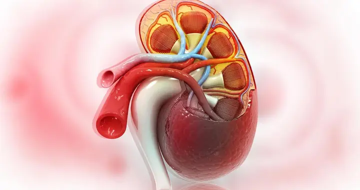 肾衰竭有多可怕？若不想患病，这4种伤肾行为要尽量避免