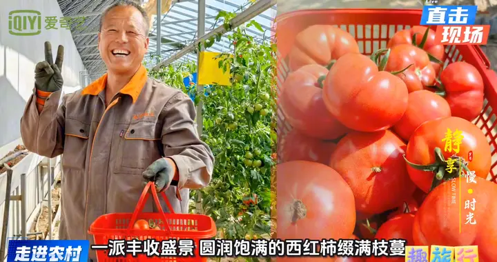 2026年，与家人一起探索九合镇的采摘节！🍇🍓🍊