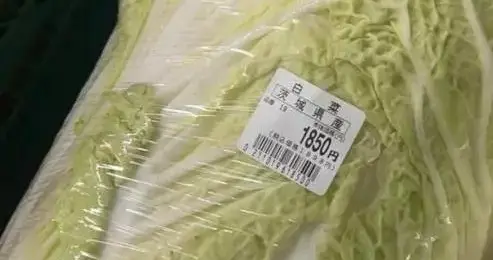 一颗普通白菜卖42元！日元跌破关口强加税，供应链脆成纸