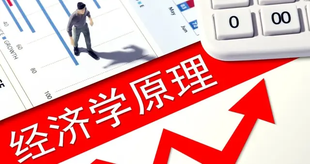 选择你的星辰大海：当经济学遇见不同的土壤