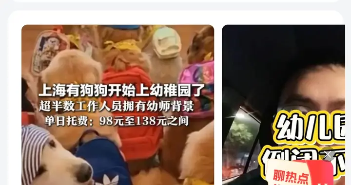 95后女生月花1.2万送狗上学，宠物消费“贵族化”倾向值得警惕！