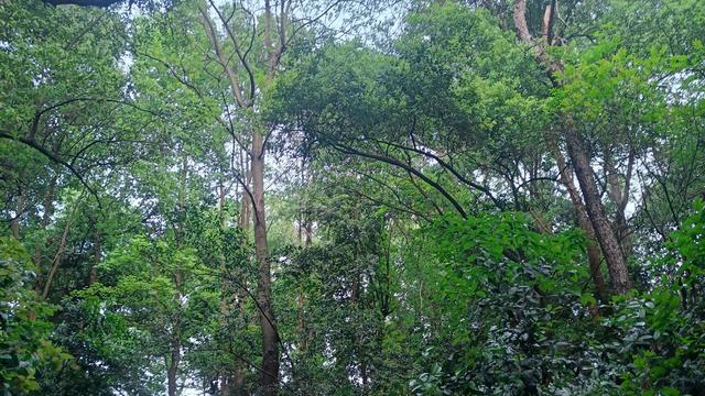 莫听穿林打雨声：针对现在的股市行情，股民