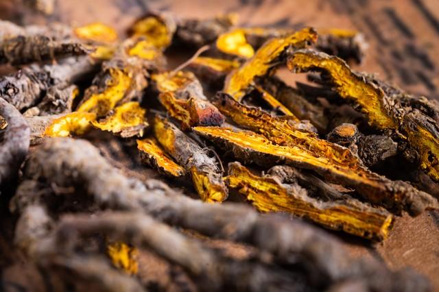 黄连的苦味藏着多少养生密码？三分钟看懂中医界的"灭火队长"