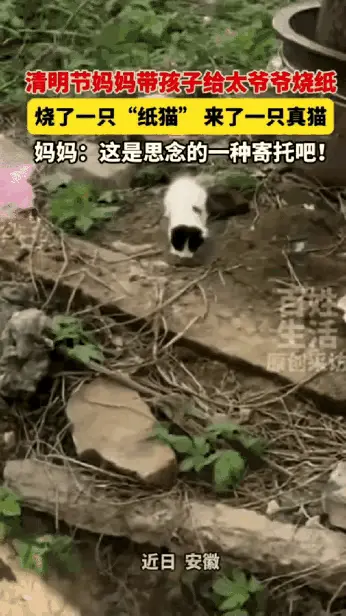 轻松凭祥7A1：科学解释不清了！安徽，1