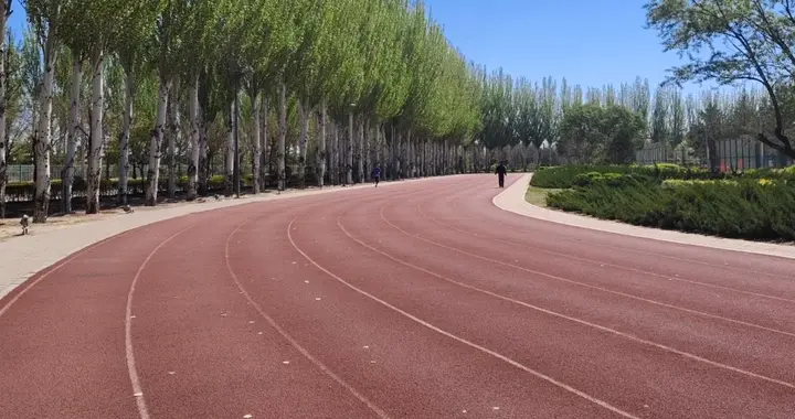 新手这样跑才能更容易坚持下去，不要急于求成。否则适得其反。