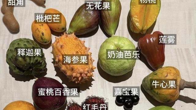 爱旅行的京京：这些水果哪个最是好吃😋