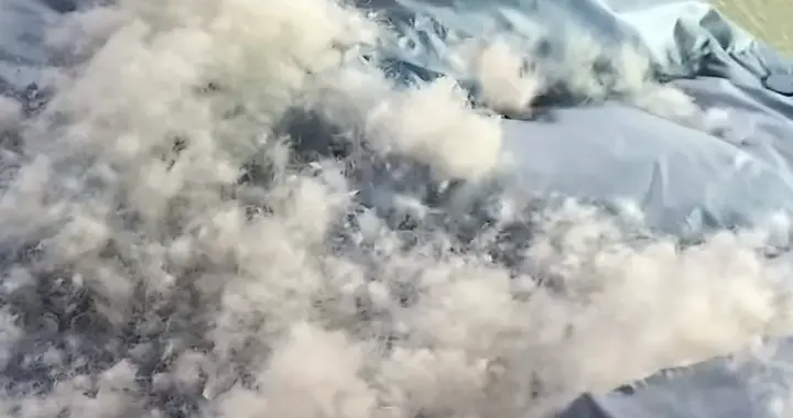 苏女士白嫖羽绒服后续：报警喊委屈，律师认为苏女士是对的！