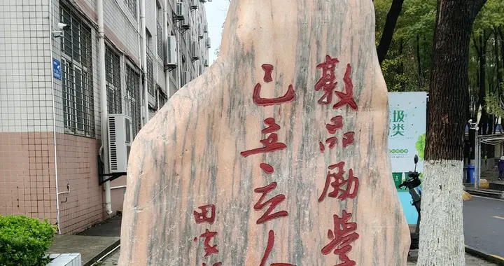 全国科研投入那么高，为什么建不出像样的影像数据库？