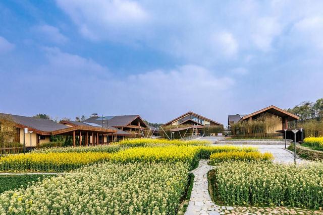 中国式现代化背景下的乡村旅游：功能、短板与优化路径