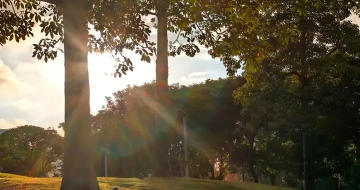 魅力南山 | 前海晨韵