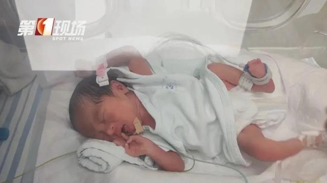 二孩夫妻喜提四胞胎变“八口之家”，孩子父亲又喜又愁，压力山大