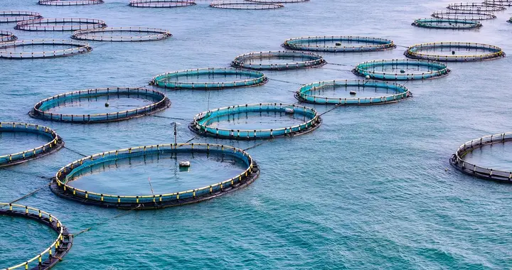 别对海洋产业误解！十五五规划中的海洋强国红利，你了解多少？