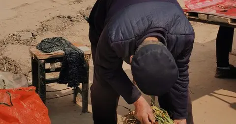 燕赵大地的年关：河北年俗里的山河印记