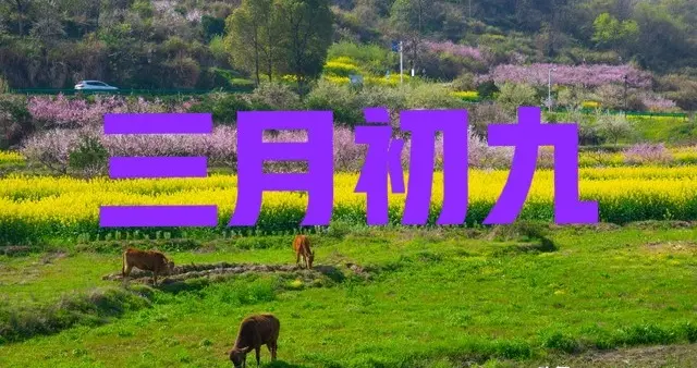 不是迷信！明天三月初九，最不能做的6件事，别忘了告诉家人！