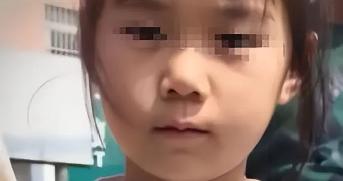 安徽6岁女童走失：最后位置曝光，警犬没反应，志愿者透露更多