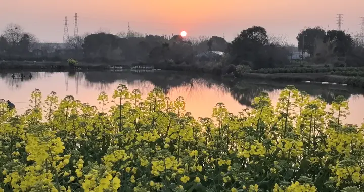 十年前，我在春天种下“大海视觉”；今天，它长成了一棵树