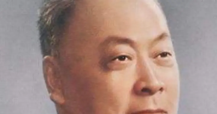 1954年，警卫阻拦乡下人见陈毅，乡下人：你说陈大冒子带猪蹄来了