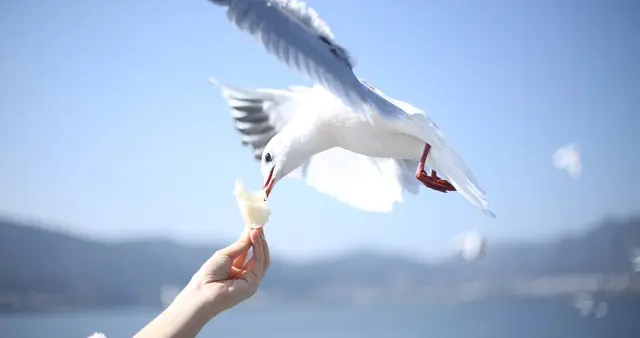 情绪上头时的一句话：你随口一说，他记恨一生