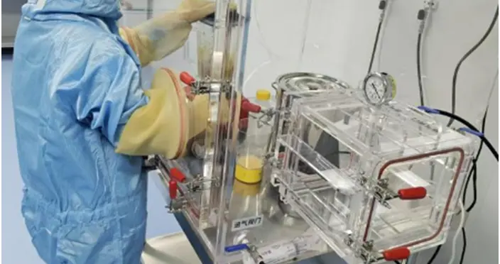 肠道菌群移植：打开肥胖治疗的全新突破口