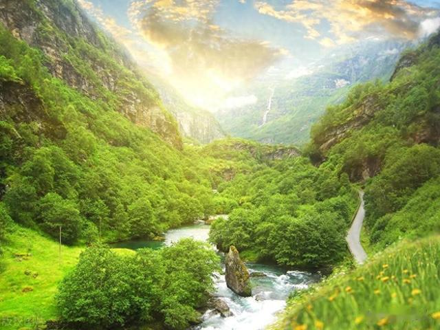 我国人工造林补助标准