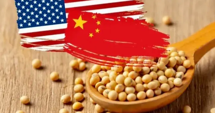 中国兑现承诺，履约购买美国大豆，中美关系更加稳定