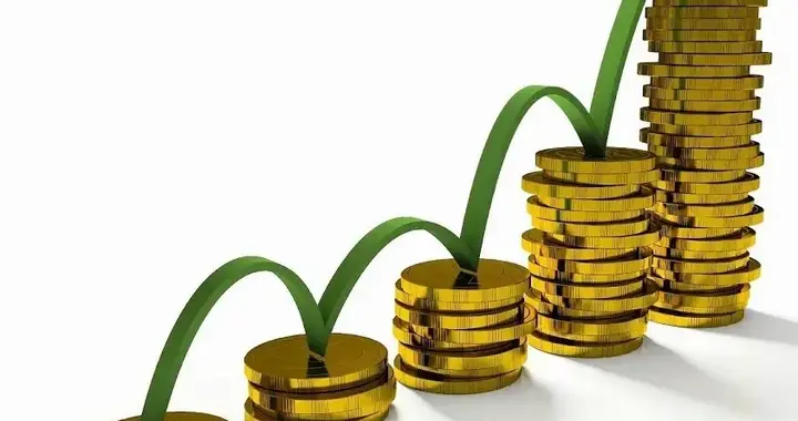 我只做能够产生复利积累的事