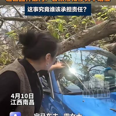 复仇小说迷：这事核心看**《民法典》第1
